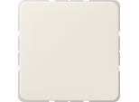 Jung Blindabdeckung 594-0 ST550 Zentralplatte Weiss 594-0 (594-0)