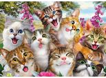 Schmidt Spiele Schmidt Spiele Puzzle: Gatti Selfie 500 Pezzi