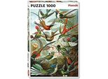 Piatnik Colibrì Puzzle 1000 Pezzi