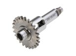 Albero Principale Del Cambio 24 Denti Con Ingranaggio A Disco "Versione Corta"" Per Motore Sachs 50/3"