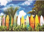 Eurographics Il Paradiso Dei Surfisti Puzzle Da 1000 Pezzi