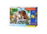 Castorland Puzzle Best Friends 100 Pezzi