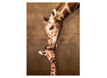 Eurographics Puzzle Giraffa Kiss Xl 500 Pezzi