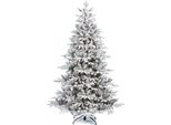 Albero Di Natale Deluxe Abete Anita 180 Cm Con Supporto