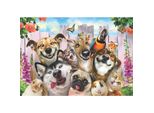 Puzzle Di Anatolia - Selfie Di Animali Domestici, 500 Pezzi