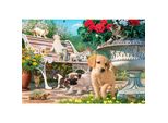 Puzzle Di Anatolia - Steve Read: Nascondino E Animali Domestici, 260 Pezzi