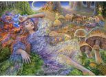 Puzzle Grafika Dopo Il Ballo Delle Fate 1500 Pezzi