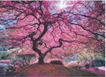 Puzzle Dell'anatolia - Albero Rosa, 1000 Pezzi