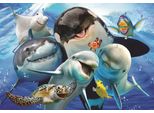 Puzzle Anatoliano Sea Selfie 500 Pezzi