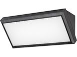 Rabalux Black Apparecchio Led Rapla 12W IP54 7282