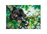 Castorland Puzzle I Wish I Could Fly 500 Pezzi