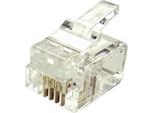 Datacom Plug Utp CAT3 6P4C- Cavo RJ11 - Confezione Da 100 Pezzi