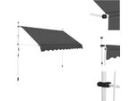 Vidaxl Tenda A Scomparsa Manuale 250 Cm Antracite - Tende Da Sole