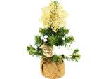 Albero Di Natale Artificiale Decorato Con 14 Ornamenti Tiny 4 In Vaso 25 Cm
