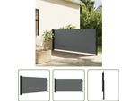 The Living Store Tenda Laterale Estensibile Antracite 100X300 Cm