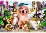 Puzzle Bluebird Puzzle Good Companions - 500 Teile Bunt