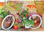 Magnolia Puzzle Bicicletta Con Fiori - 1000 Teile Puzzle