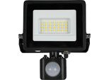 Blulaxa Proiettore Led Con Rilevatore Di Movimento, Eek: F, 20W, 1620Lm, 4000K, Nero