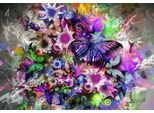 Grafika Puzzle Fiori E Farfalle - 1000 Pezzi Jigsaw