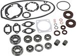Set: Guarnizioni Del Motore, Guarnizioni Dell'albero E Cuscinetti A Sfera - Per Es 250/TS 250/ETS 250*