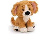 Nici Cane Peluche Marrone Seduto 0