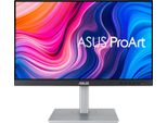 Asus PA247CV Monitor Per Computer 60,5 Cm (23,8") 1920 X 1080 Pixel Full Hd Led Nero, Argento"