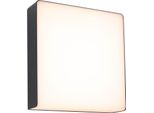 Paulmann Lampada Da Parete Per Esterni A Led Azalena Rilevatore Di Movimento Crepuscolare (Hf)