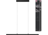Paulmann Lampada A Sospensione Led Lento