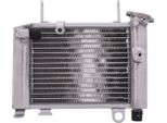 Radiatore Acqua Jmp 2019040102 Per Honda Cbr 125