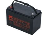 Batteria T6 Power NP12-100, 12V, 100Ah
