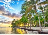 Bluebird Puzzle Puzzle Guadalupa - Anse Champagne - 500 Teile