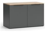 Vicco Credenza Wido, 80 X 50 Cm Con 2 Porte, Antracite/Sonoma