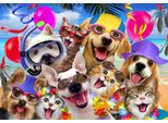 Puzzle Alipson Selfie Beach Party 1000 Pezzi Multicolore