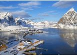 Puzzle Bluebird Puzzle Fjord Lofoten Archipelago 500 Pezzi