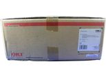 Oki Belt ES3640 Cinghia Stampante 100000 Pagine