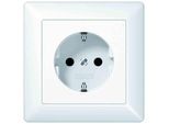 Jung Presa Di Corrente 1F Aws Glz AS500 Up W.Erh.Bs IP20 Vp