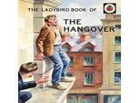 Il Libro Delle Coccinelle Sui Postumi Della Sbornia