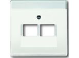 BUSCH-JAEGER Zentralplatte Uae/Iae 2F Futuro Lineare Std-Ws Mt