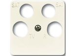 BUSCH-JAEGER Piastra Centrale Ant.Box 4F Duro 2000 Si Cws Glz