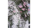 Traliccio Da Giardino Nature 50X150 Cm Pvc Bianco 6040701