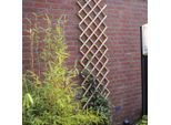 Traliccio Da Giardino Nature 45X180 Cm In Bambù 6040720