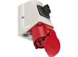 Interruttore Di Presa A Muro Pce Cee, 5 Poli, 32 A, 400 V, IP44