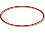 Ricambio Sunsun Per Il Chiarificatore Per Laghetti CUV-155 - O-Ring - Per Filtri Per Laghetti, Lampade Uv, Accessori Per Chiarificatori Uvc