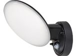 Rabalux Black Apparecchio Led Con Sensore Di Movimento Varna 12W IP54 8135
