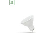 Spectrum Led GU5.3 MR16 4W = 43W Lampadina 12V Lampada 360Lm Spot 100° Bianco Freddo 6000K