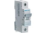 Interruttore Miniaturizzato 1 Polo 6Ka Caratteristica B 16A 1 Modulo Hager MBN116