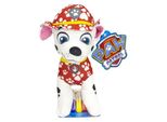 Paw Patrol Abbraccio Da Colorare Con Pennarelli - Marshall