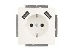 Busch-Jaeger Schuko-2X Usb Steckdose 20 EUCB2USB-884 (2CKA002011A6277)