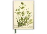 Blocco Note A5 Linea Tw Fiori Rbge Charlotte Cowan