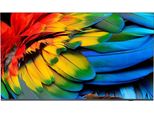 Philips 43HFL6214U - Classe Di Diagonale 108 Cm (43") Tv Lcd Professional Mediasuite Con Retroilluminazione A Led - Sanità / Hotel - Smart Tv - Android Tv - 4K Uhd (2160P)"
